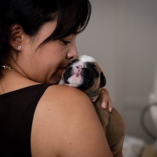 “Whatever you do, do it all for the glory of God.”
—1 Corinthians 10:31 🤎

These moments may look like simple puppy cuddles, but they are an important part of how we raise each little life God has entrusted to us.

Beginning in their earliest days, our puppies receive gentle, age-appropriate handling along with Early Neurological Stimulation (ENS) and Early Scent Introduction (ESI). ENS introduces brief, carefully controlled physical experiences, while ESI exposes them to a new scent each day. Together, these exercises help introduce puppies to new sensations and encourage confidence, adaptability and resilience as they grow.

Early handling also helps puppies become familiar with human touch while allowing us to closely monitor their development and notice even the smallest changes.

Every gentle touch, every new experience and every tiny milestone is handled with intention, patience and love. May everything we do for them honor the One who called us to this work. 🐾

#CazaresBulldogs #ForHisGlory #RaisedWithPurpose #RaisedWithLove #bulldogpuppies