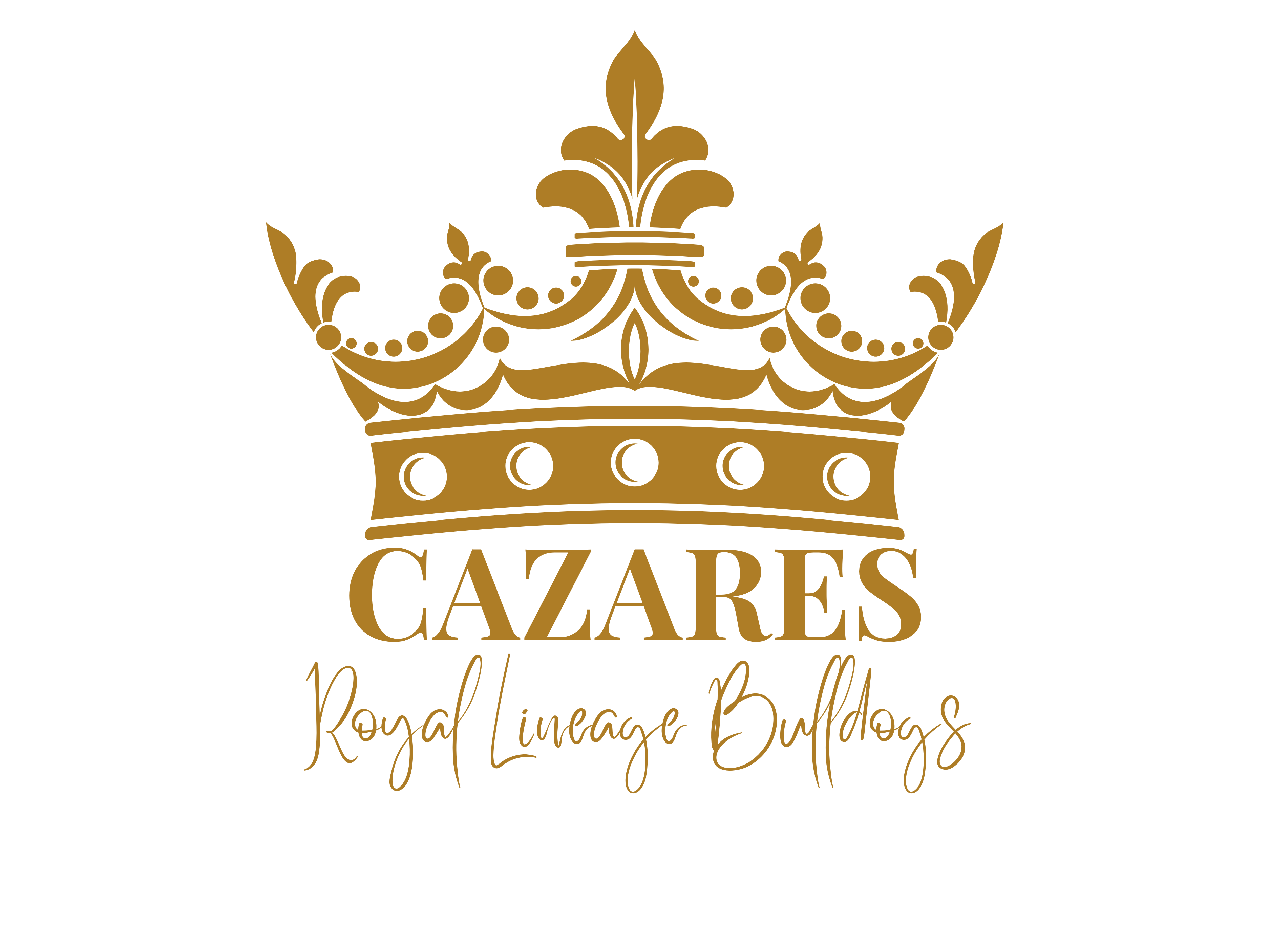 CAZARES ROYAL LINEAGE BULLDOGS
